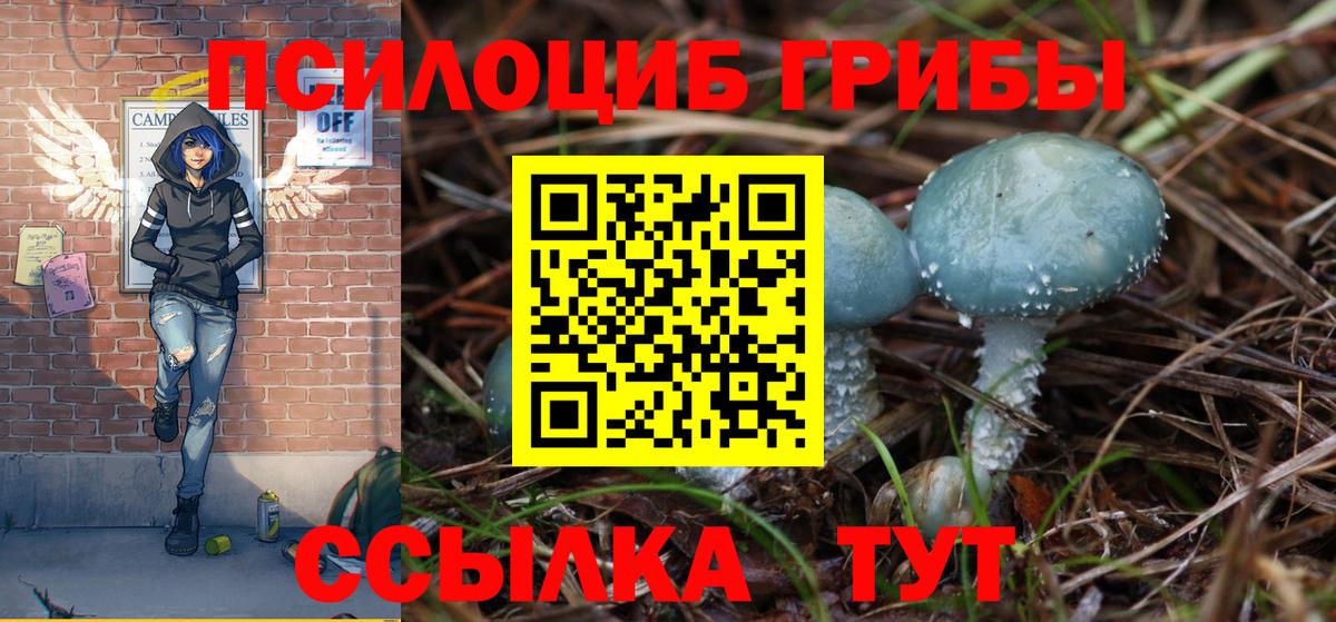 Галлюциногенные грибы мухоморы  где купить наркоту  Тавда  Вход с VPN 